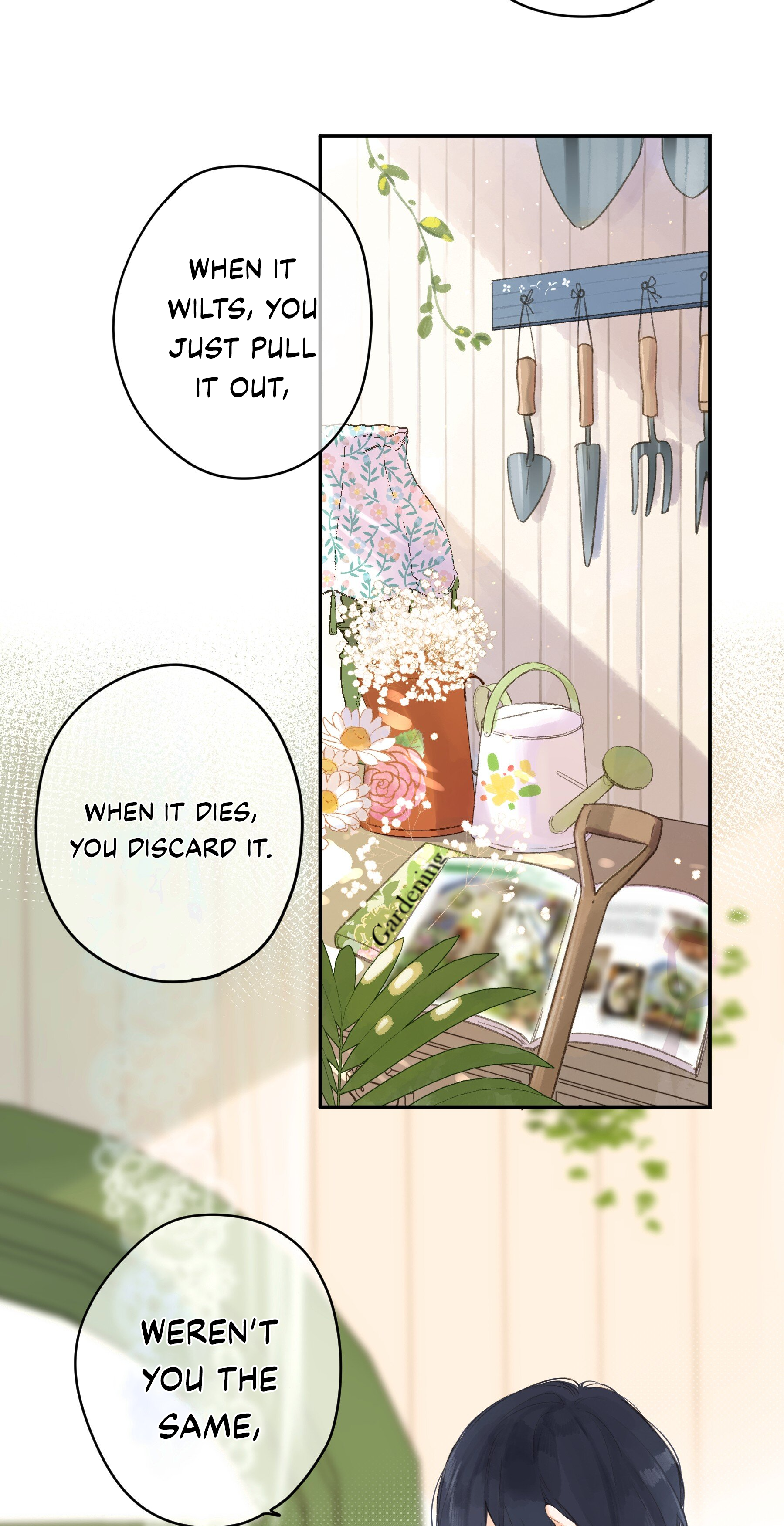 Summer Bloom At The Corner of The Street A Misunderstanding 第26页
