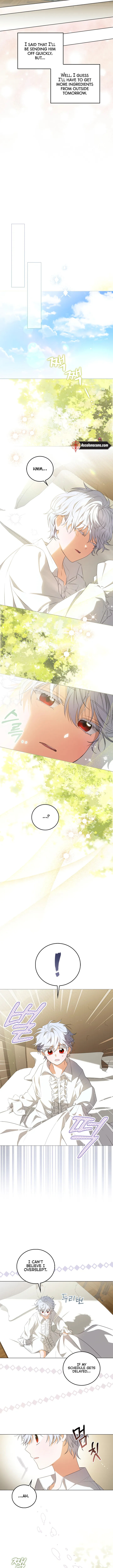 I Became the Young Villain's Sister-in-Law Ch. 3 第5页