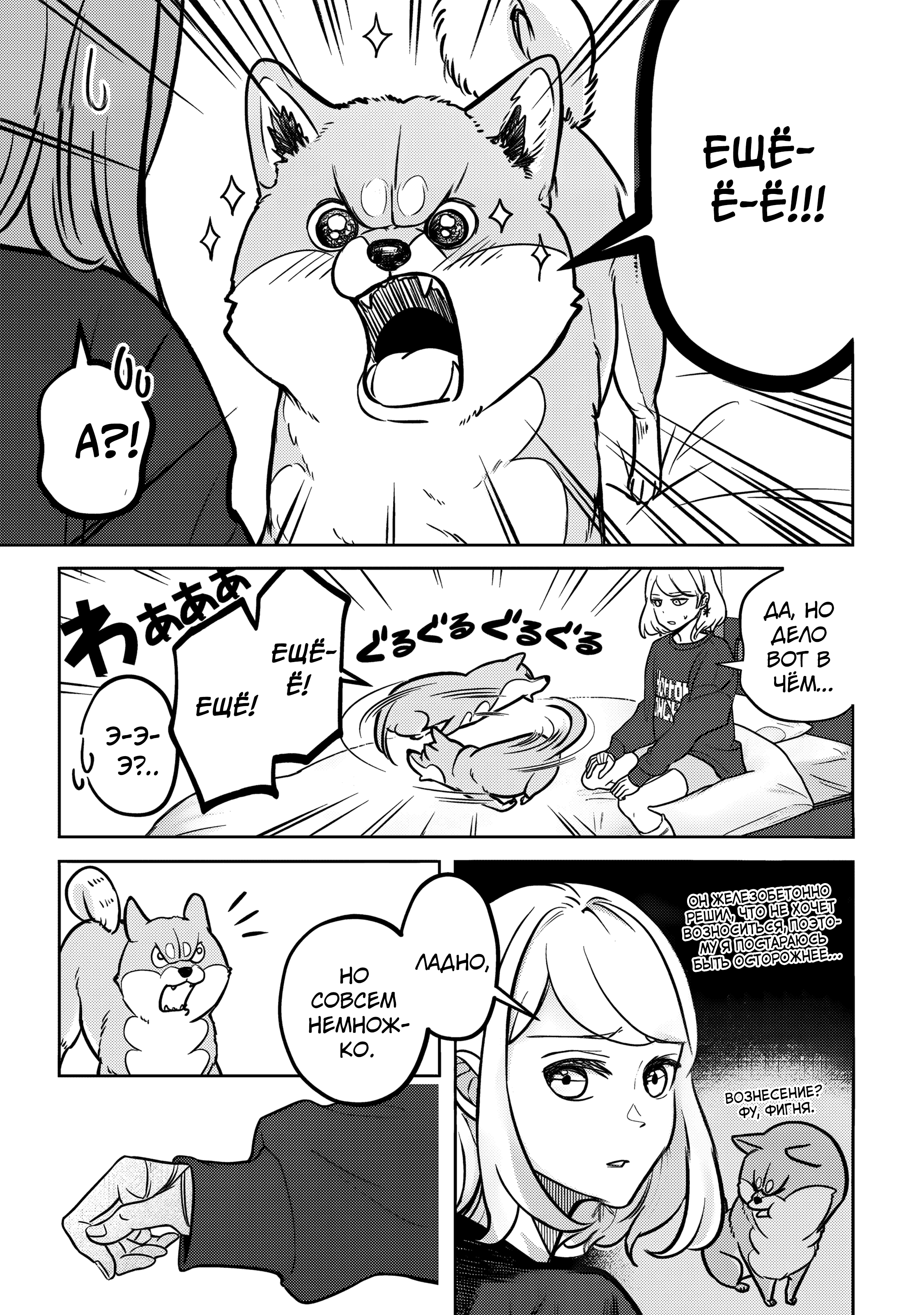 Shiba Inu Rooms Маленькое бедное создание 第10页