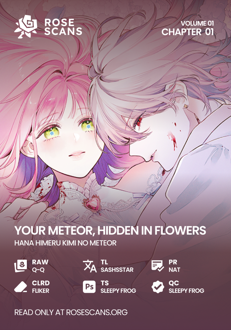Hana Himeru Kimi no Meteor 第1页