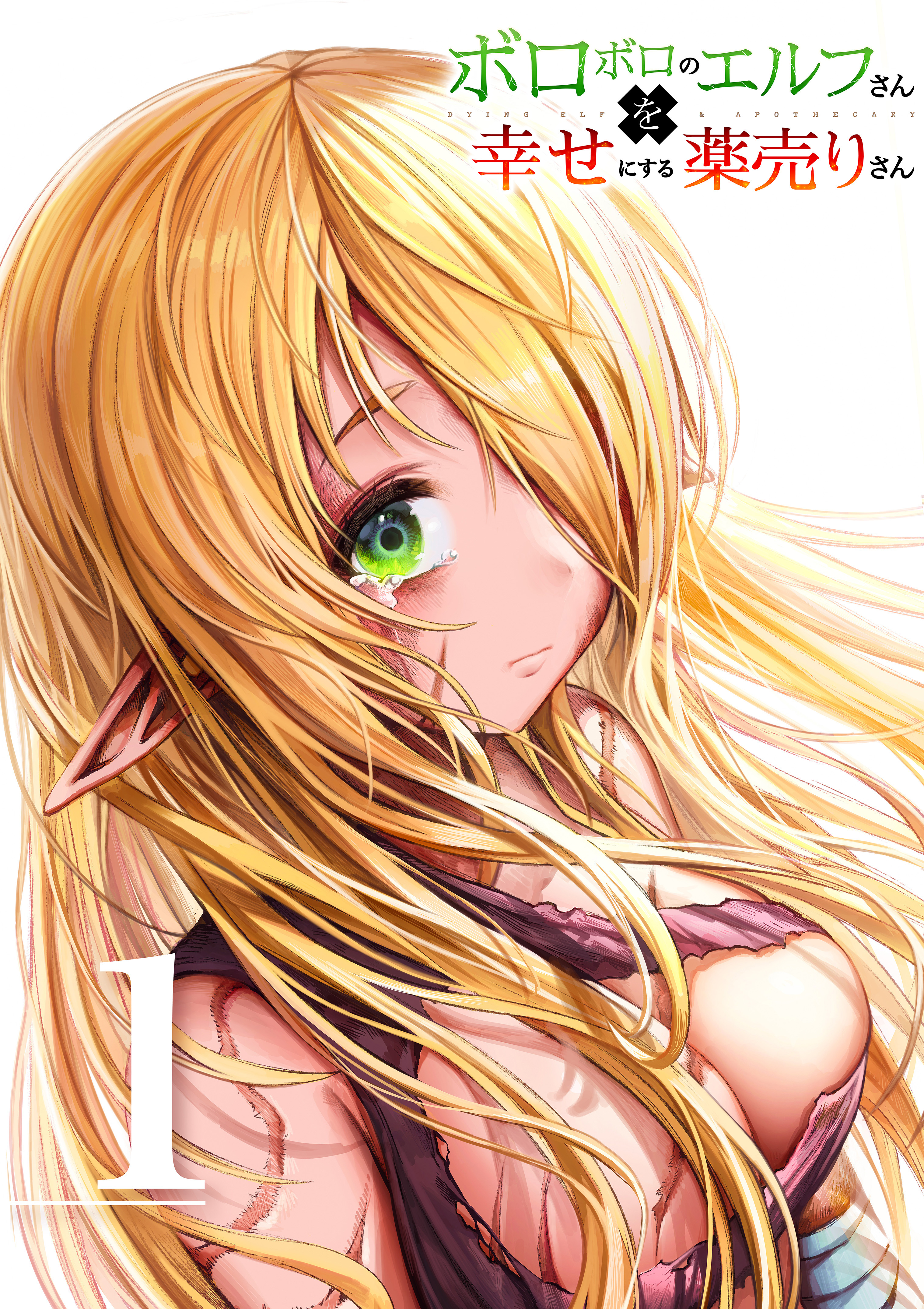 Boroboro no Elf-san wo Shiawase ni Suru Kusuriuri-san (Webcomic) 第1页