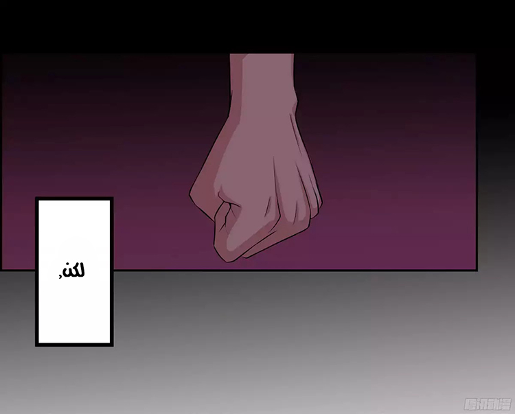 Limbless Schira المقدمة 第18页
