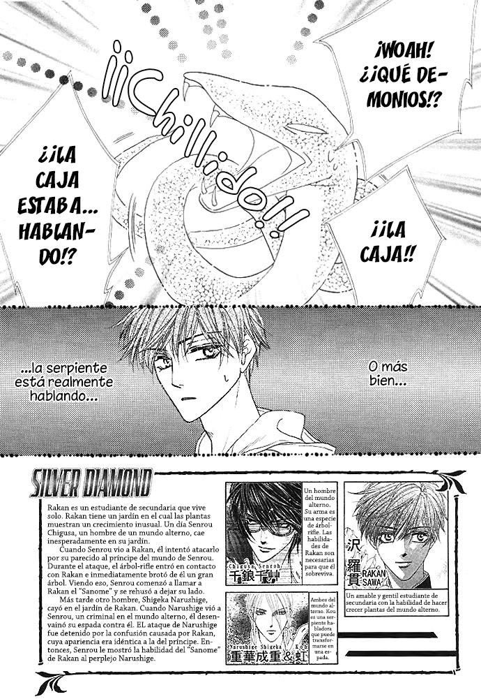 Silver Diamond Agua superficial 第3页