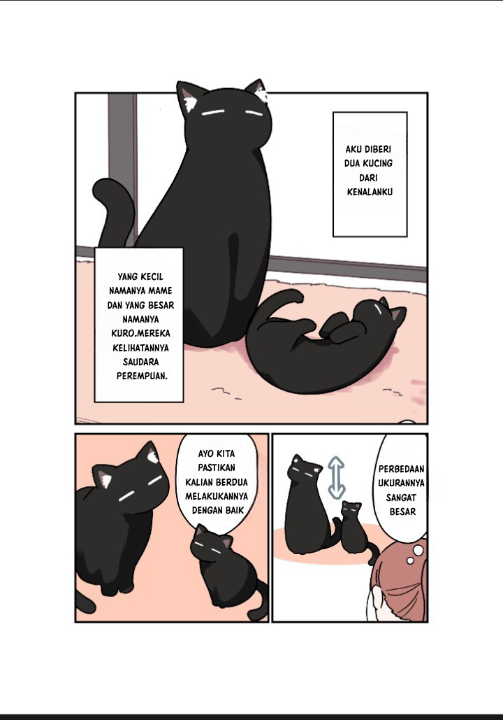 Uchi no Kuroneko, Onna no Ko Kucing baruku🌝 第1页