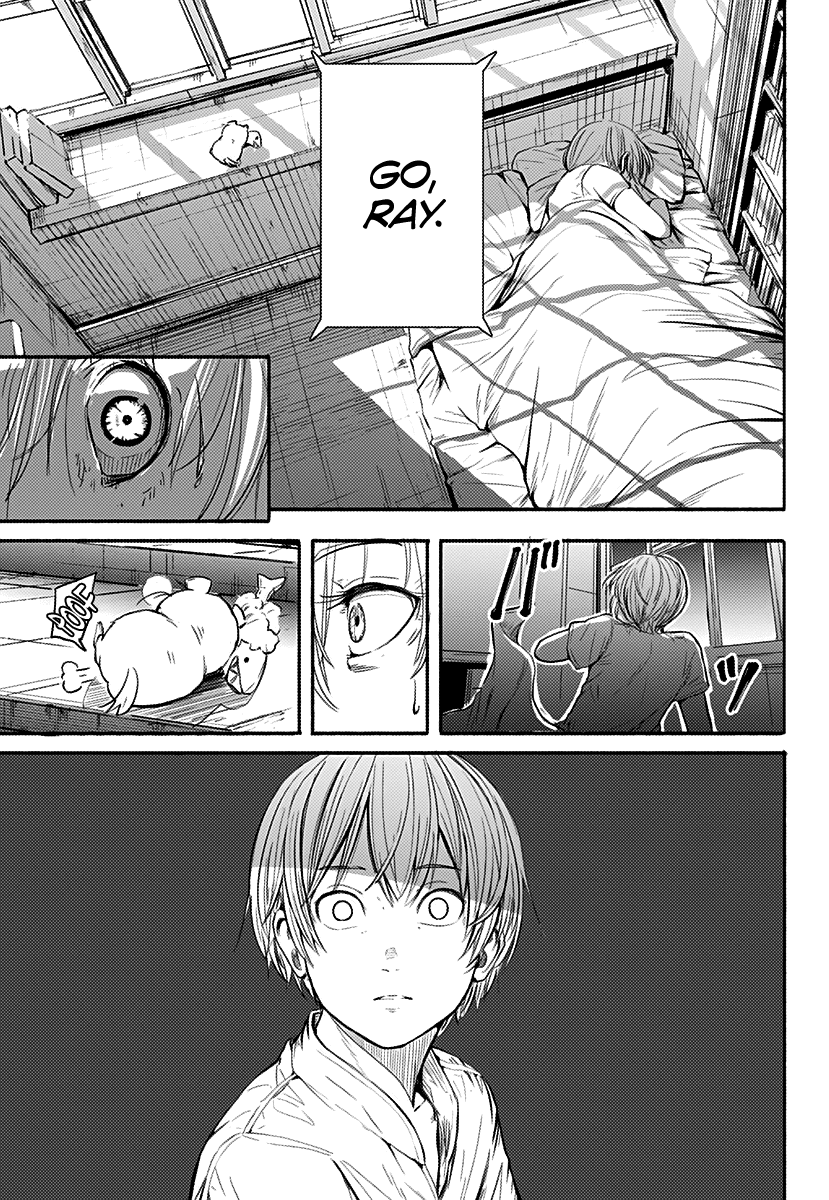 Alma Footprints 第17页