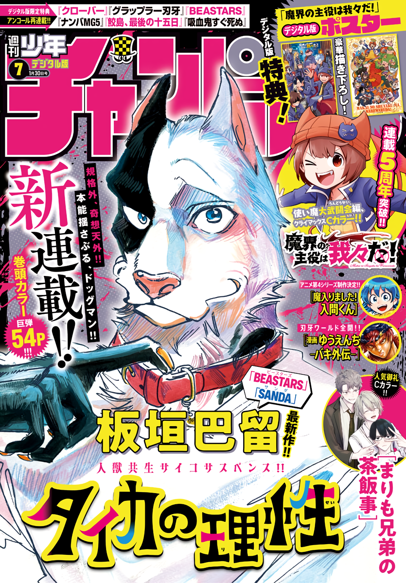 Taika no Risei Chuva, Caia! 第2页
