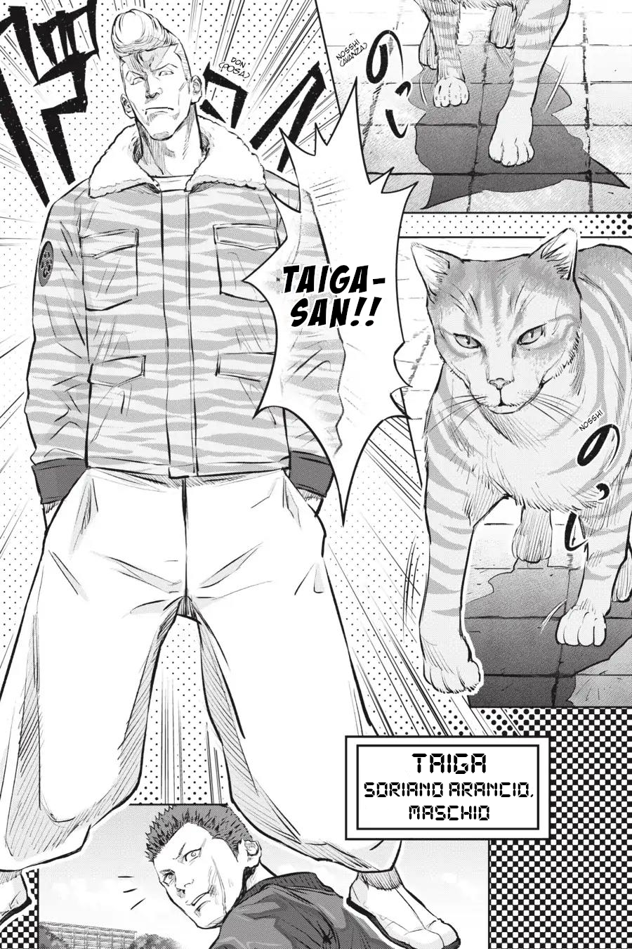 Nyankees Il suo nomiao è... 第27页
