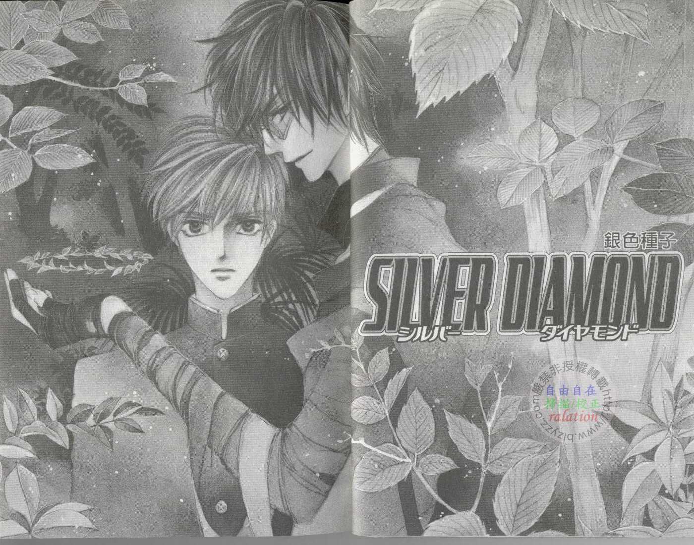 Silver Diamond 第4页
