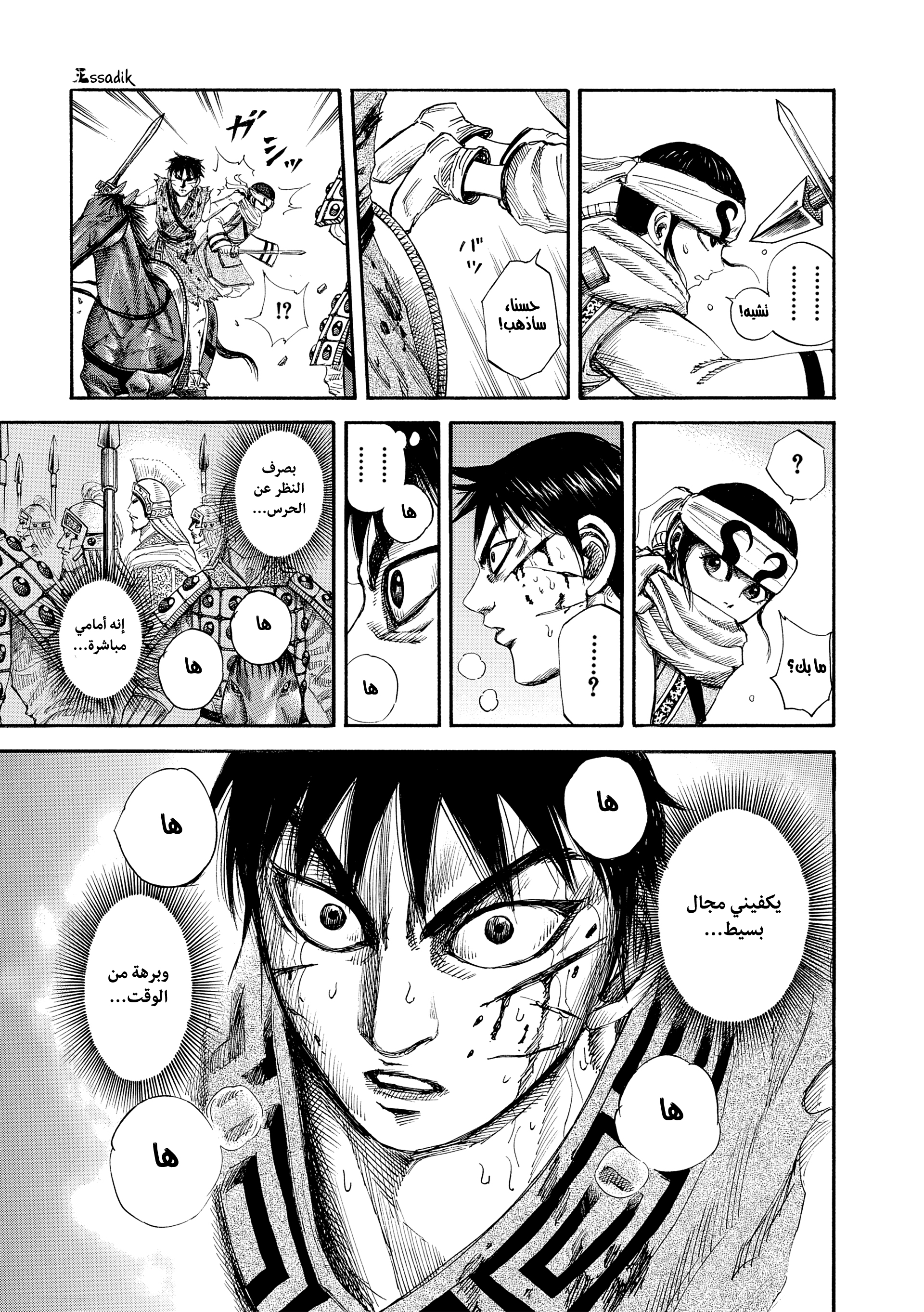 Kingdom 第6页