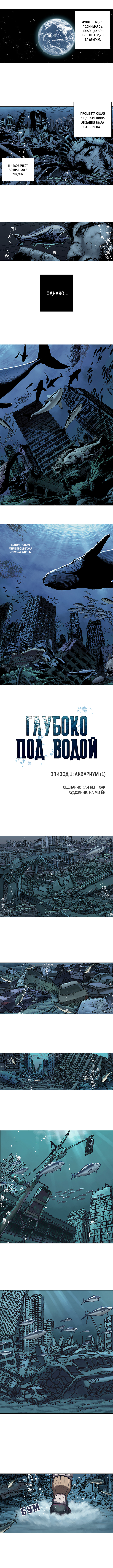 Simhaesu Аквариум (1) 第2页