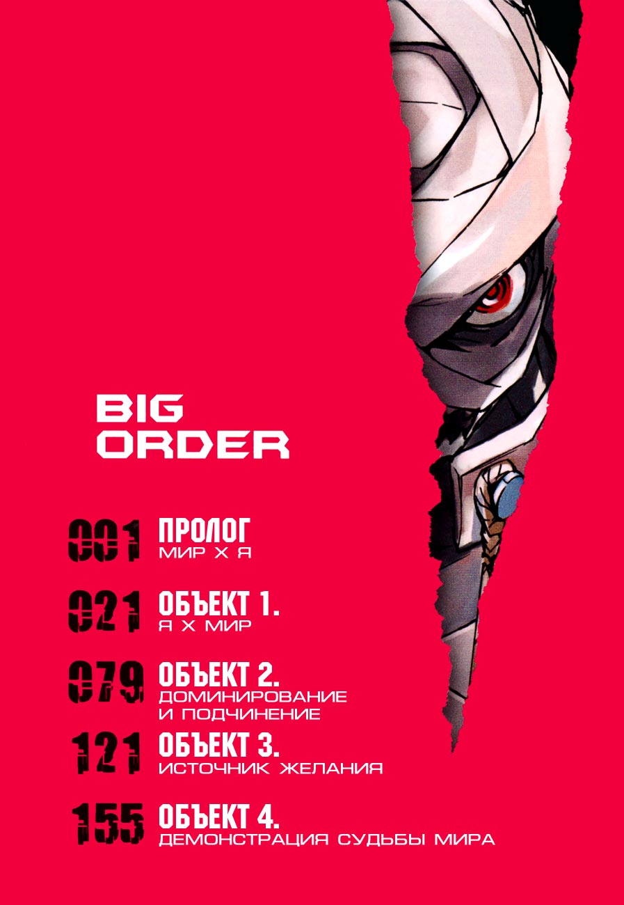 Big Order 第6页