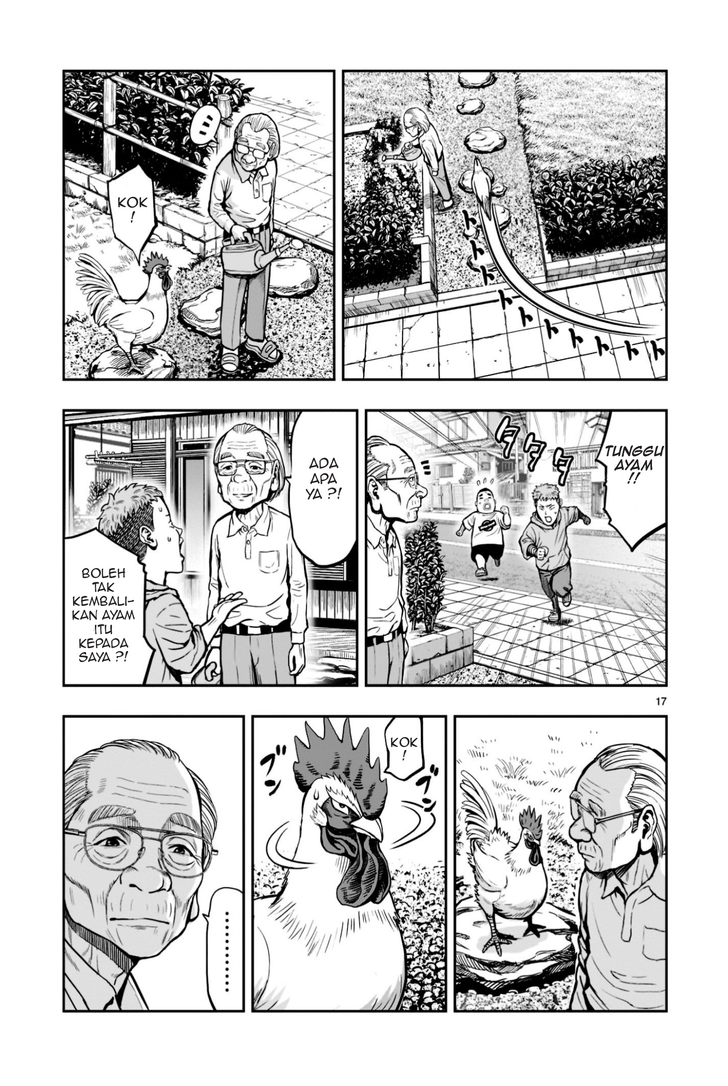 Niwatori Fighter Binatang Berbulu Berkumpul 第17页