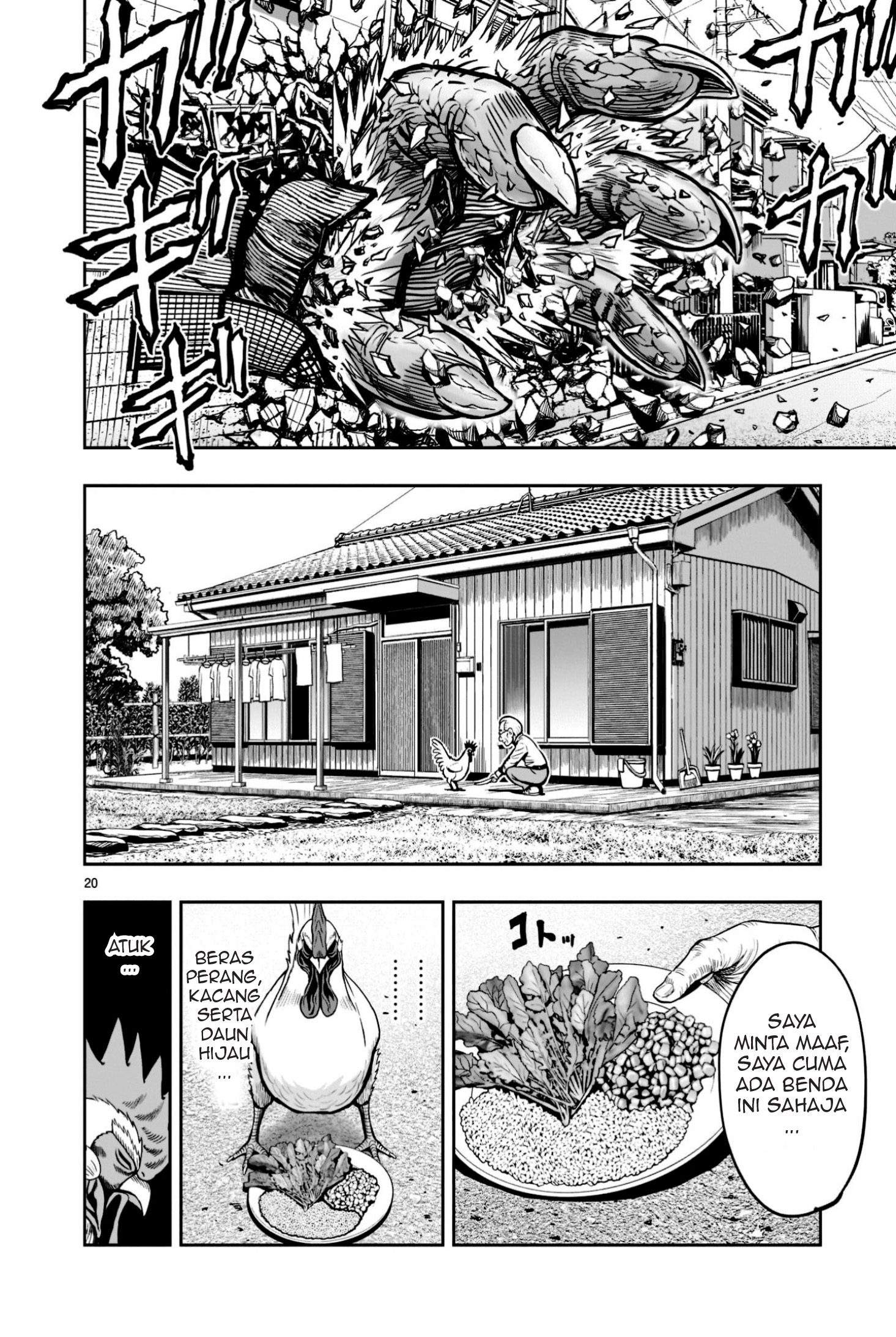 Niwatori Fighter Binatang Berbulu Berkumpul 第20页