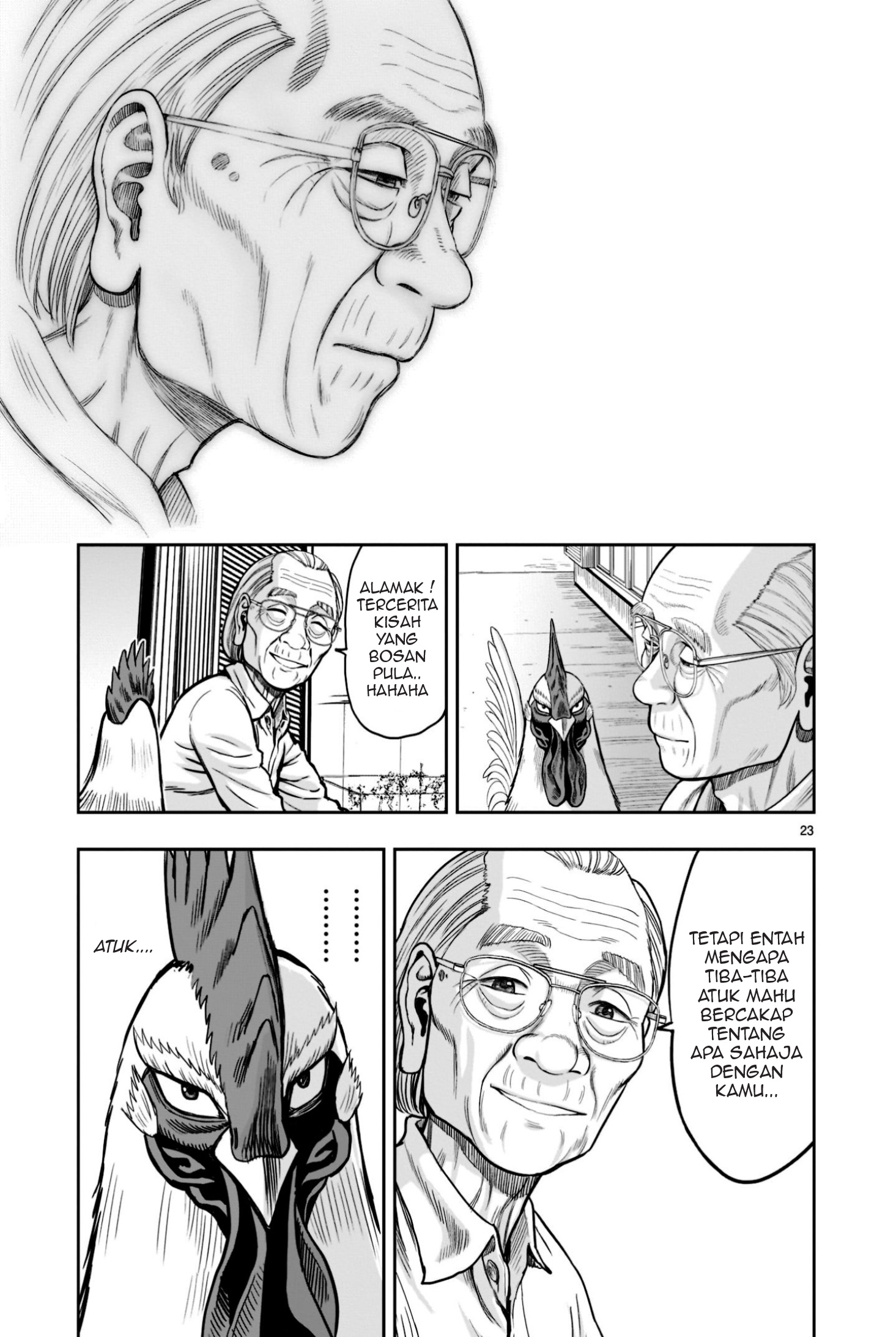 Niwatori Fighter Binatang Berbulu Berkumpul 第23页