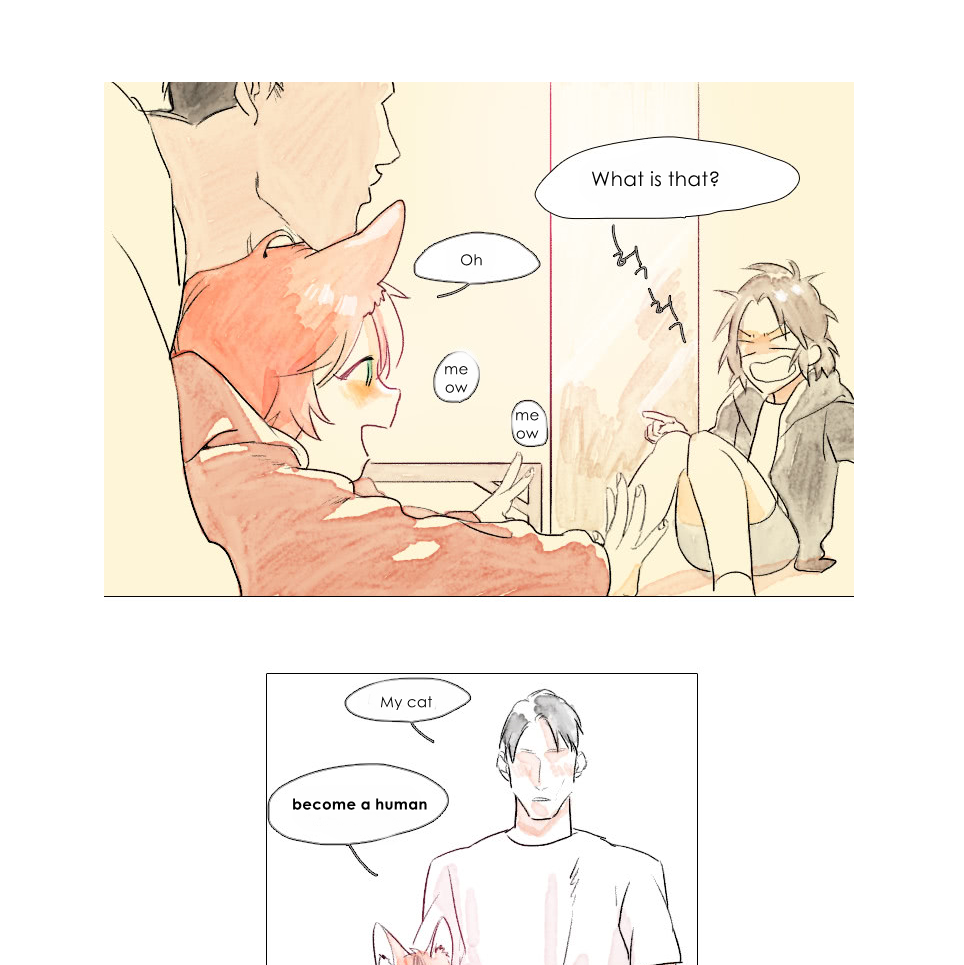 Catboy Catday Curiosity 第3页