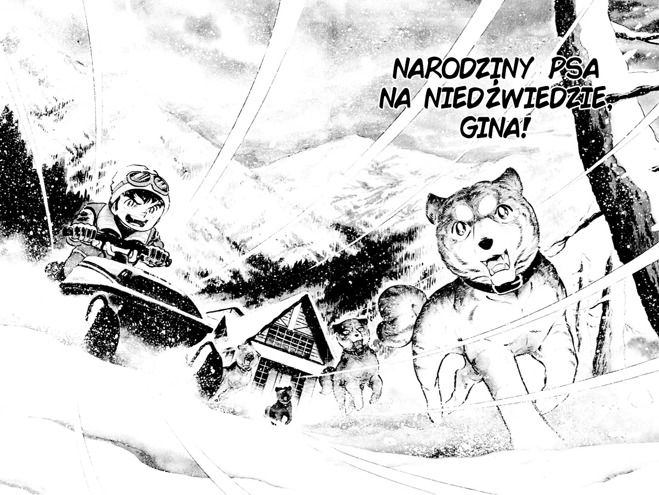 Silver Fang – The Shooting Star Gin – 第5页