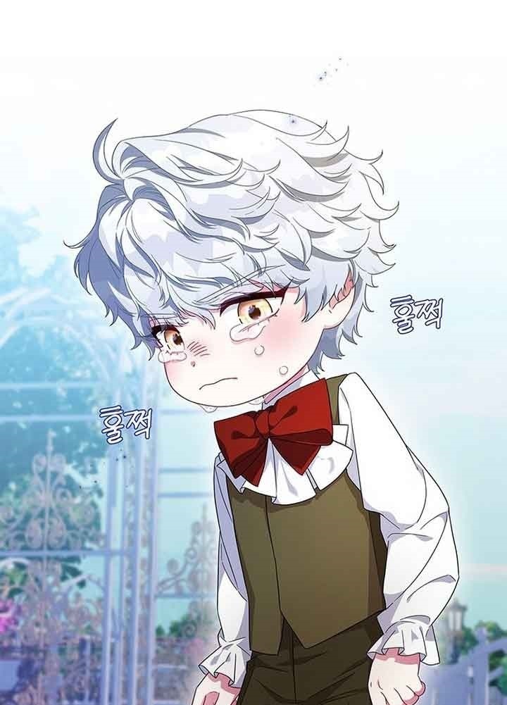 I Became the Mother of the Evil Male Lead Ch. 2 第14页