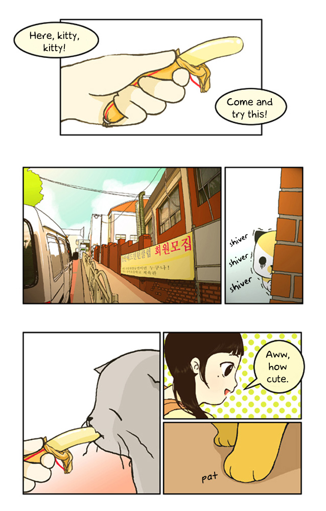 Papi Nyang Where's The Man Of My Dreams? 第1页