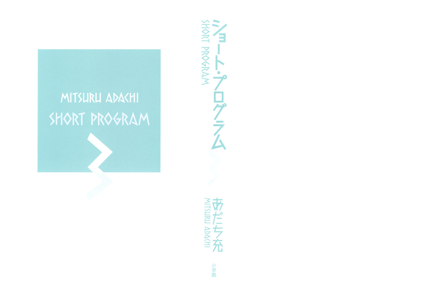 Short Program Clogs and Diamond 第3页