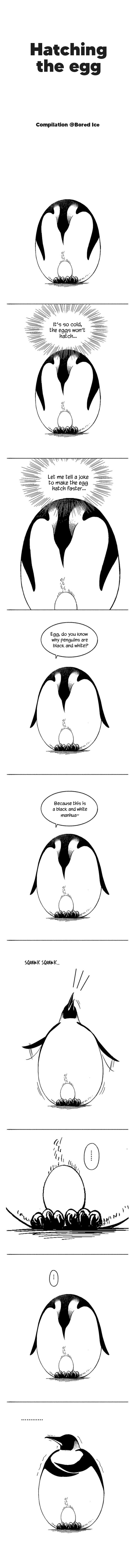 Quickly Put the Animal Inside the Fridge 第1页