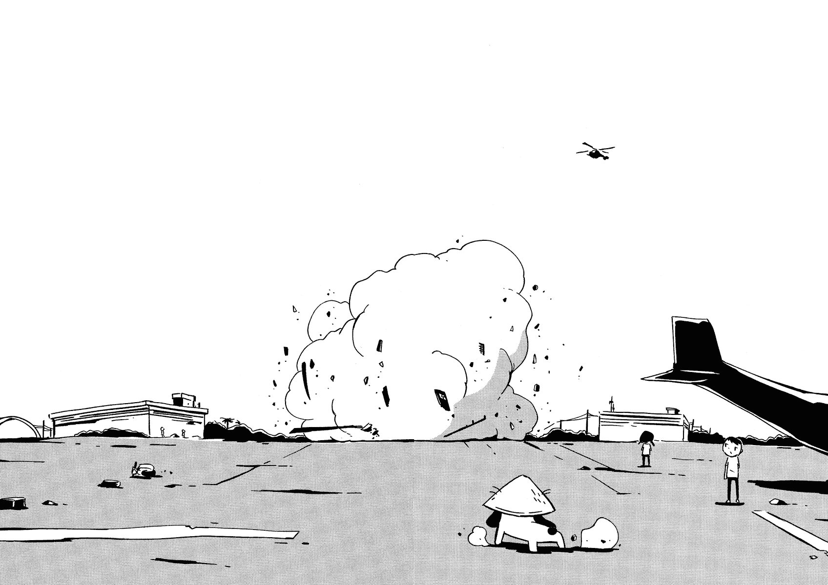 Dien Bien Phu The Beginning and the End 第13页