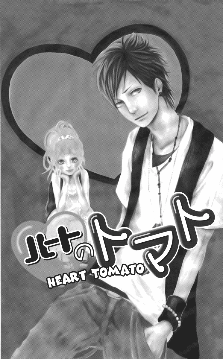 Dreamin' Sun Heart Tomato 第3页