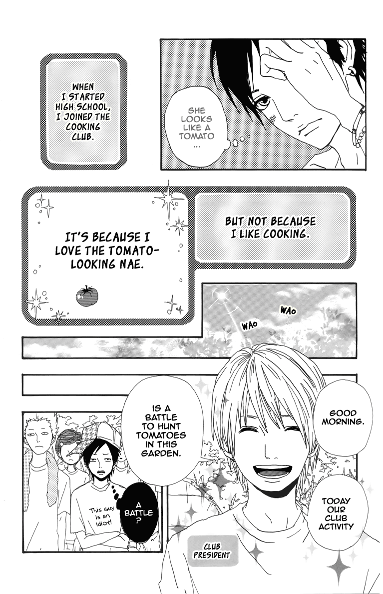 Dreamin' Sun Heart Tomato 第7页