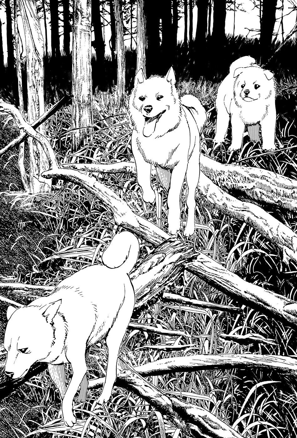 The Case Records of Professor Munakata The Old Man Who Made Trees Blossom's Dog 第30页