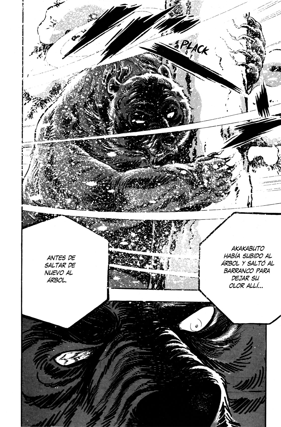 Silver Fang – The Shooting Star Gin – ¡El nacimiento del perro cazador de osos, Gin! 第43页