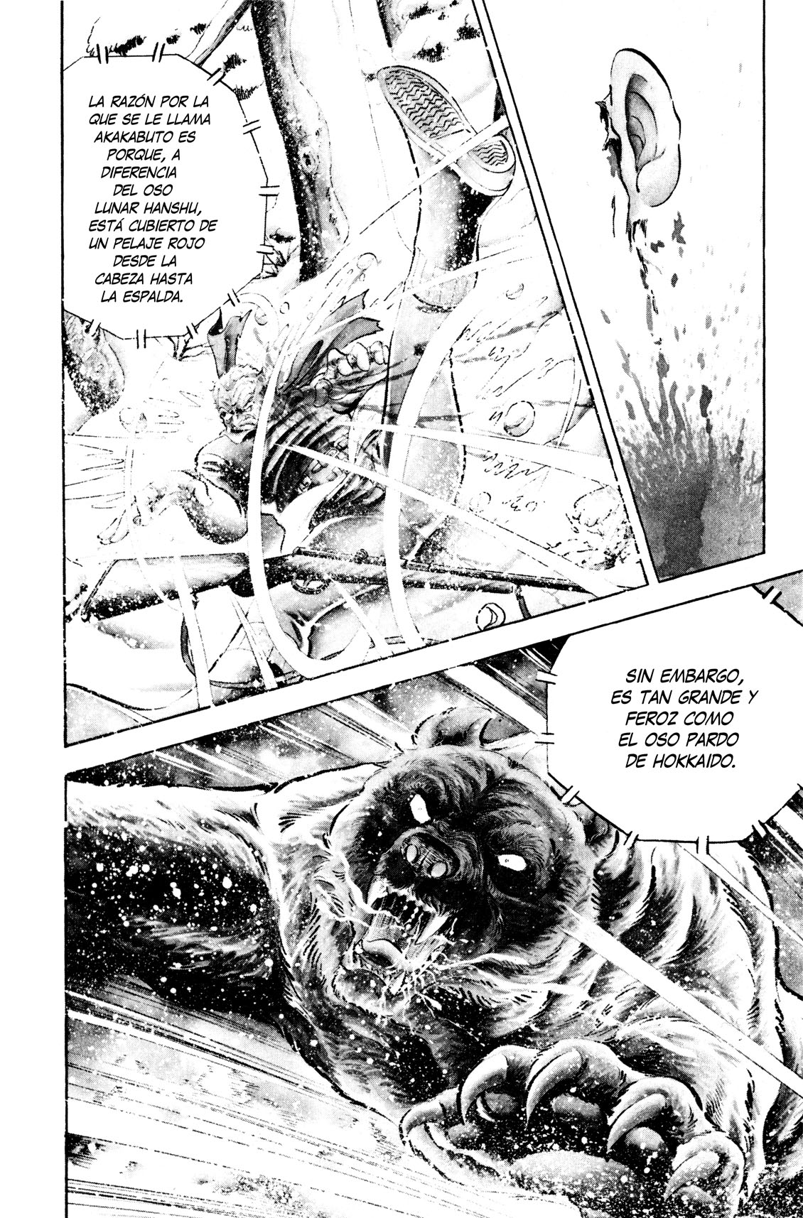 Silver Fang – The Shooting Star Gin – ¡El nacimiento del perro cazador de osos, Gin! 第9页