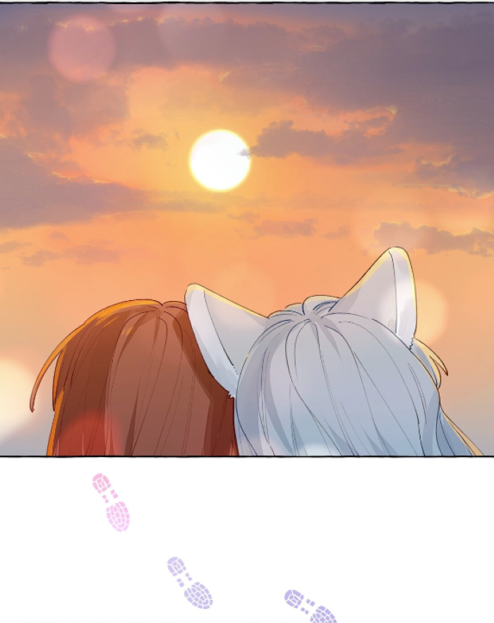 Foxes Always Lie Prologue: A Surprise Collaboration 第26页
