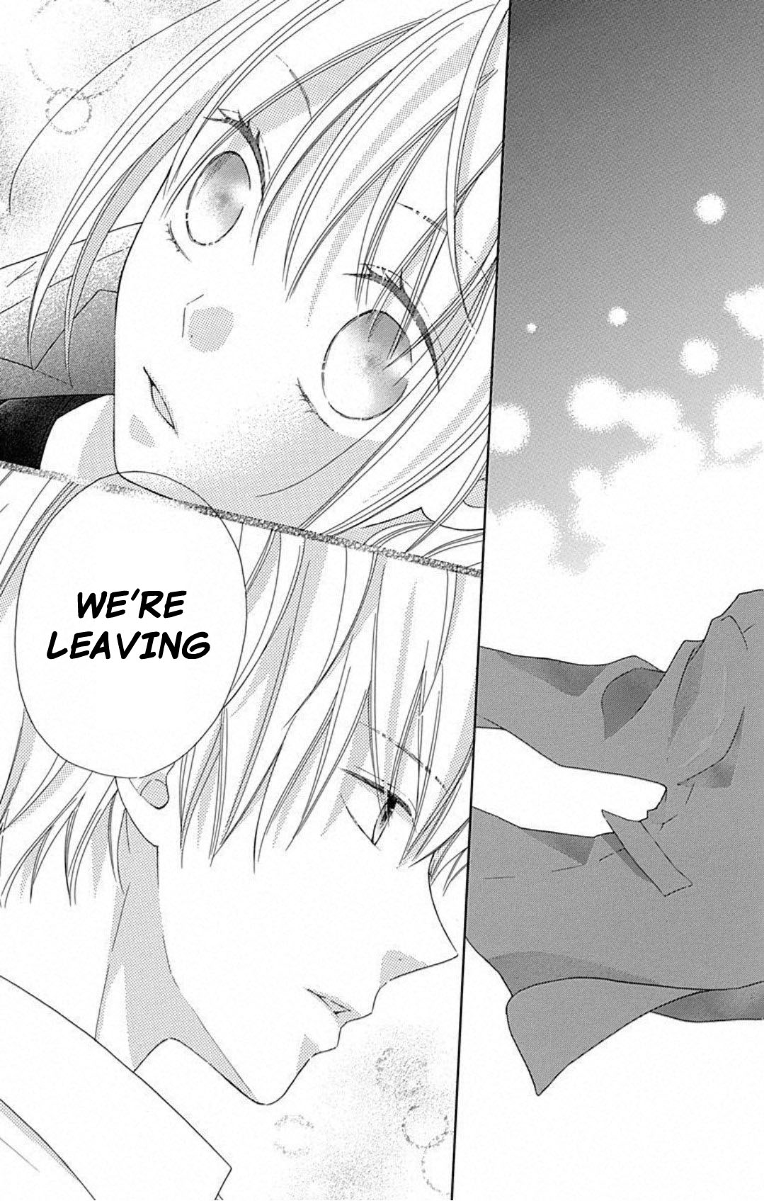 Hinadori no Waltz Vol. 1 Ch. 1 第39页