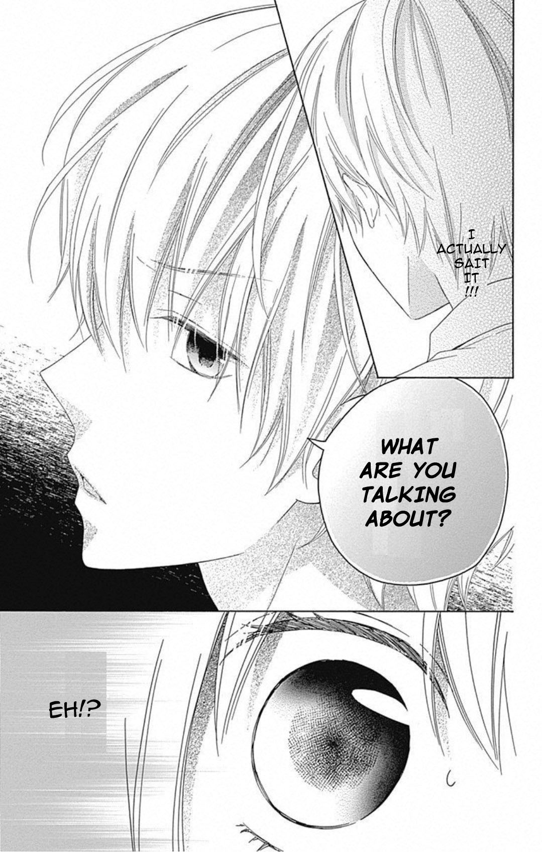 Hinadori no Waltz Vol. 1 Ch. 1 第43页