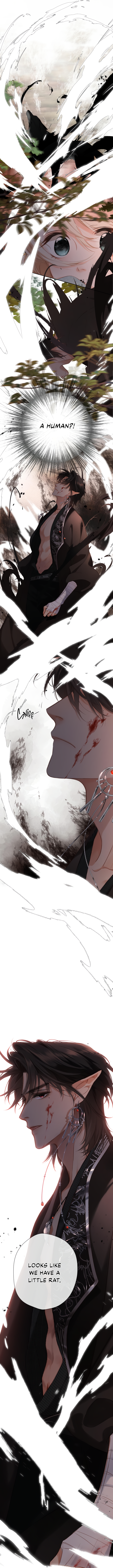 Back to Spring Werewolf 第11页