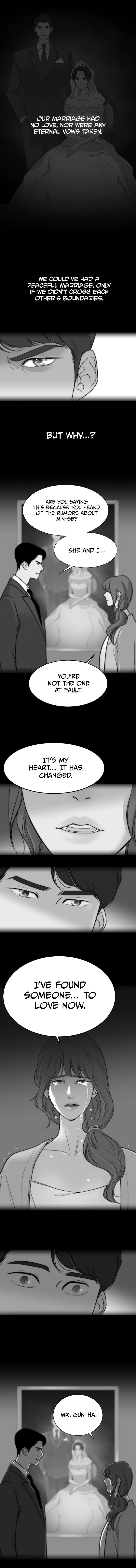 The Remarriage Contract 第5页