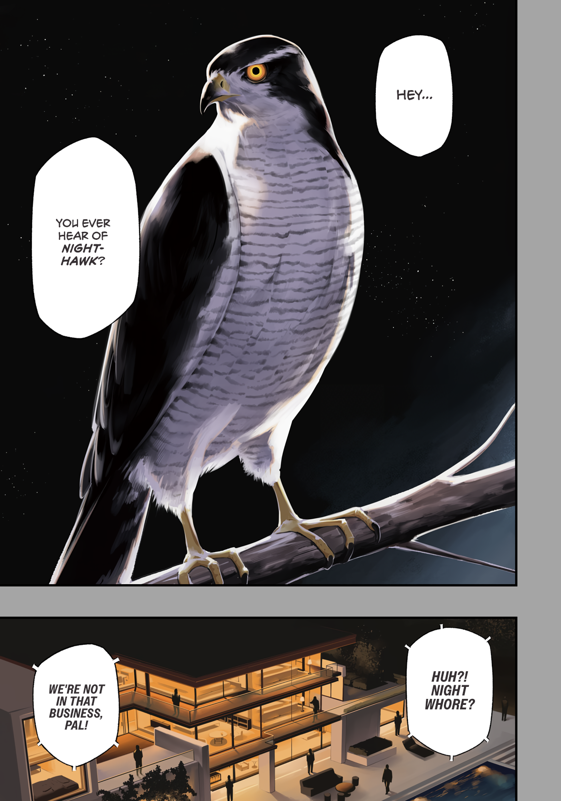 Yotaka Futatabi 第5页