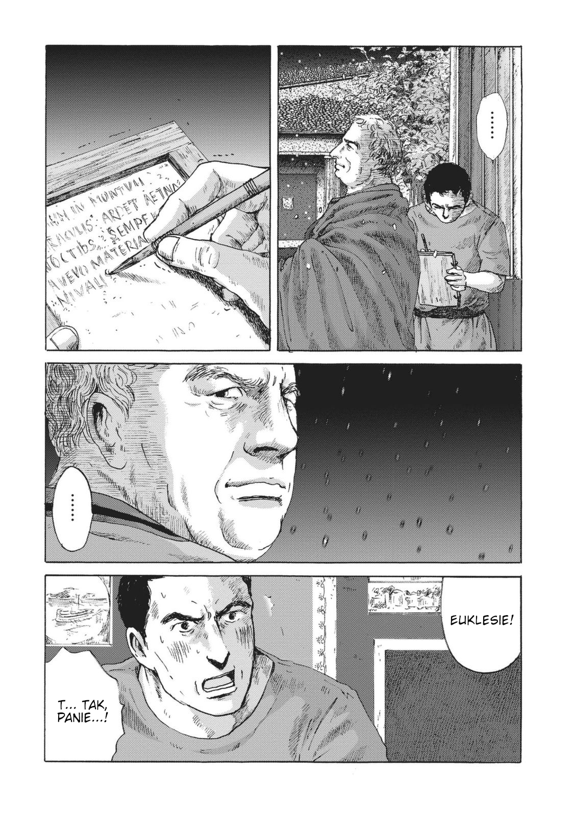 Plinivs Wezuwiusz 第17页