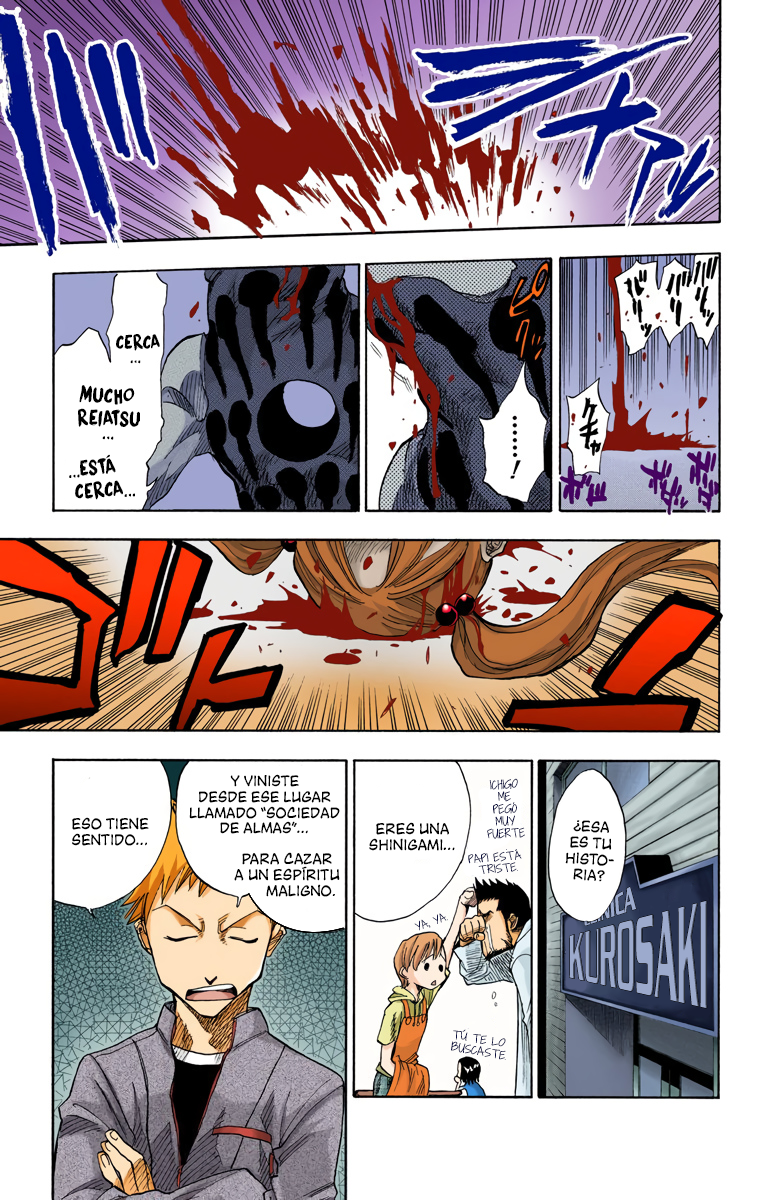 Bleach (Official Colored) La muerte y la fresa 第18页