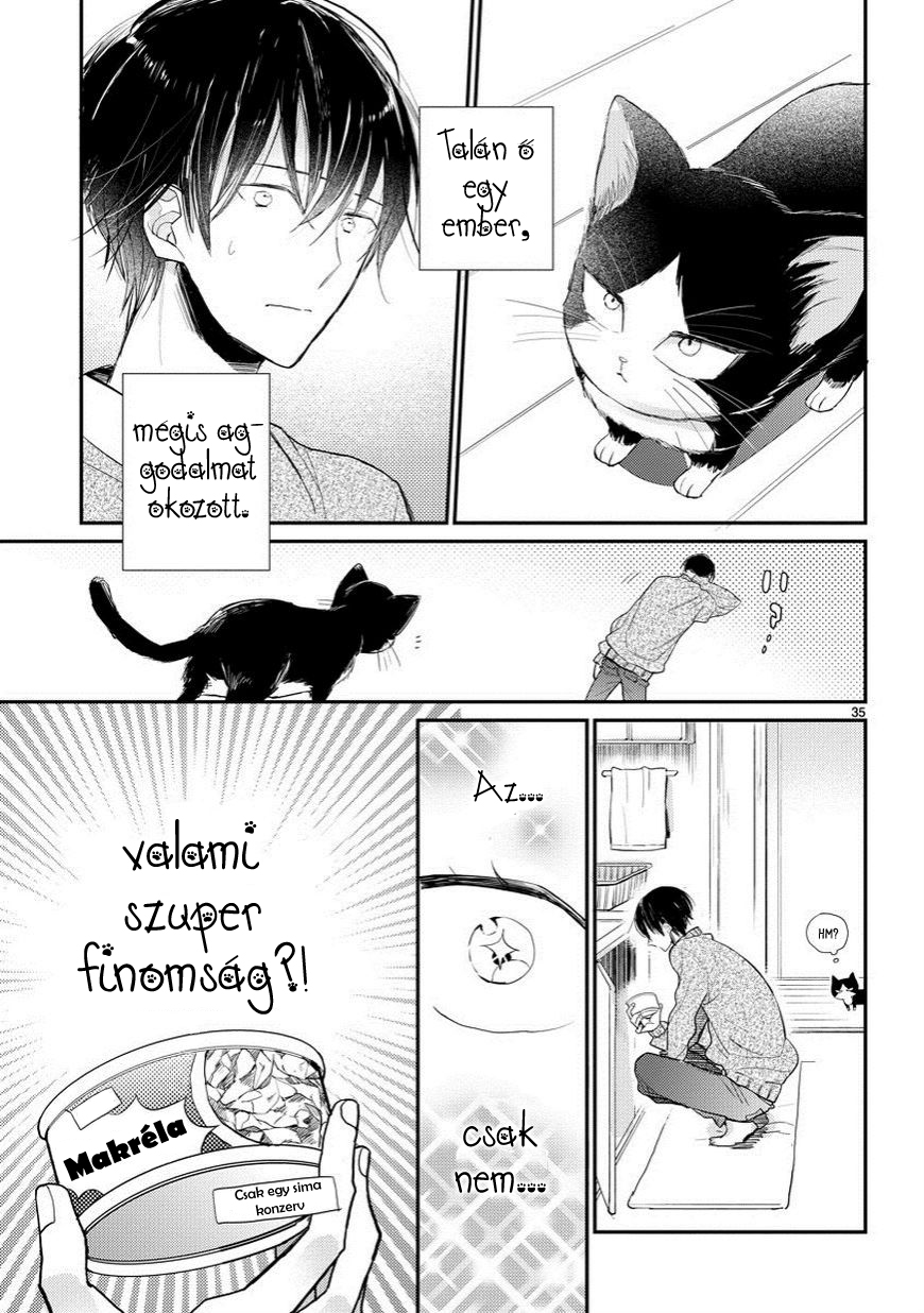 My Roommate Is a Cat Találkozás az ismeretlennel 第35页