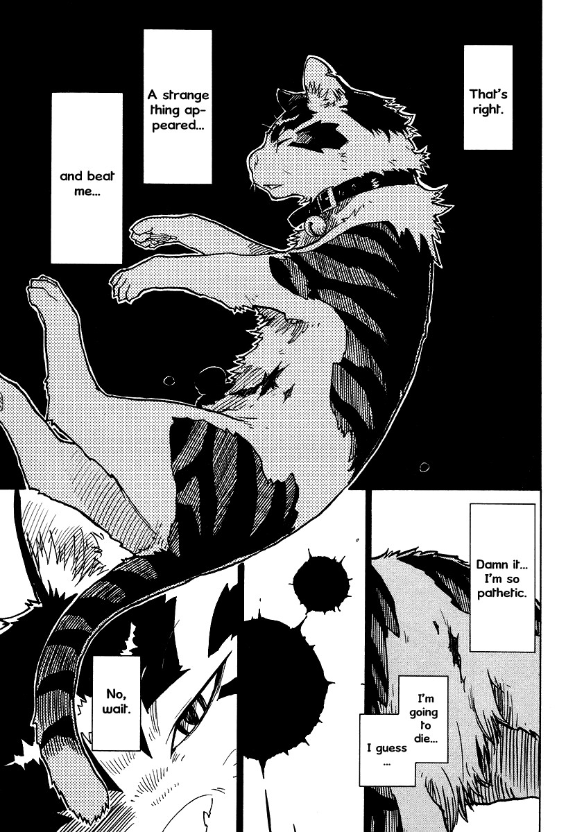 Gakuen Sousei Nekoten! Your Special Skill 第12页