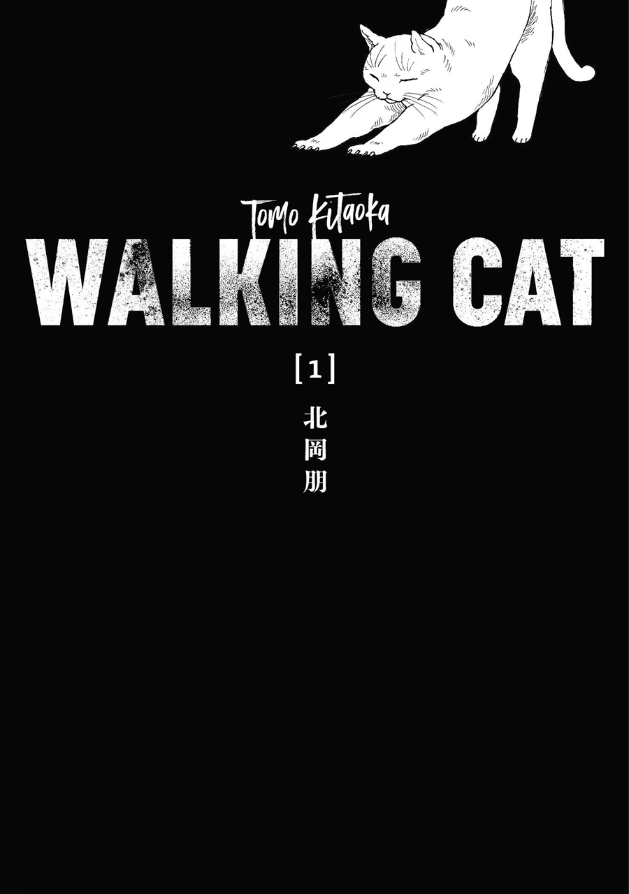 Walking Cat 第3页